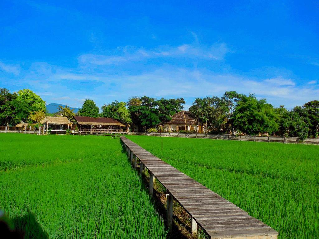 Palm Spa Village Resort Mae Rim Esterno foto